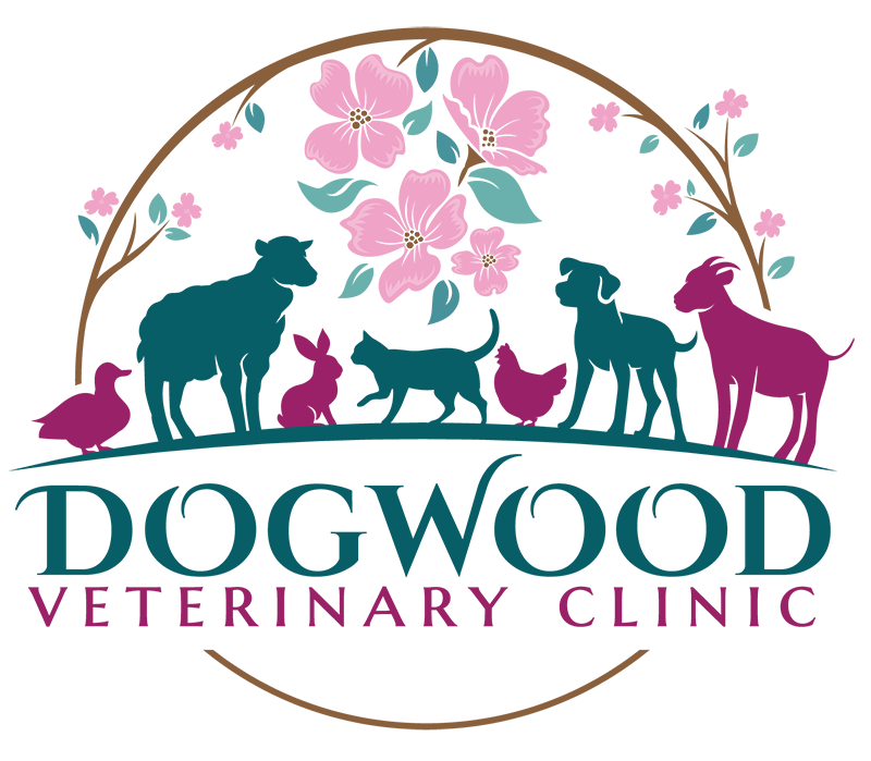 Dogwood Veterinary Clinic logo Dogwood Veterinary Clinic logo